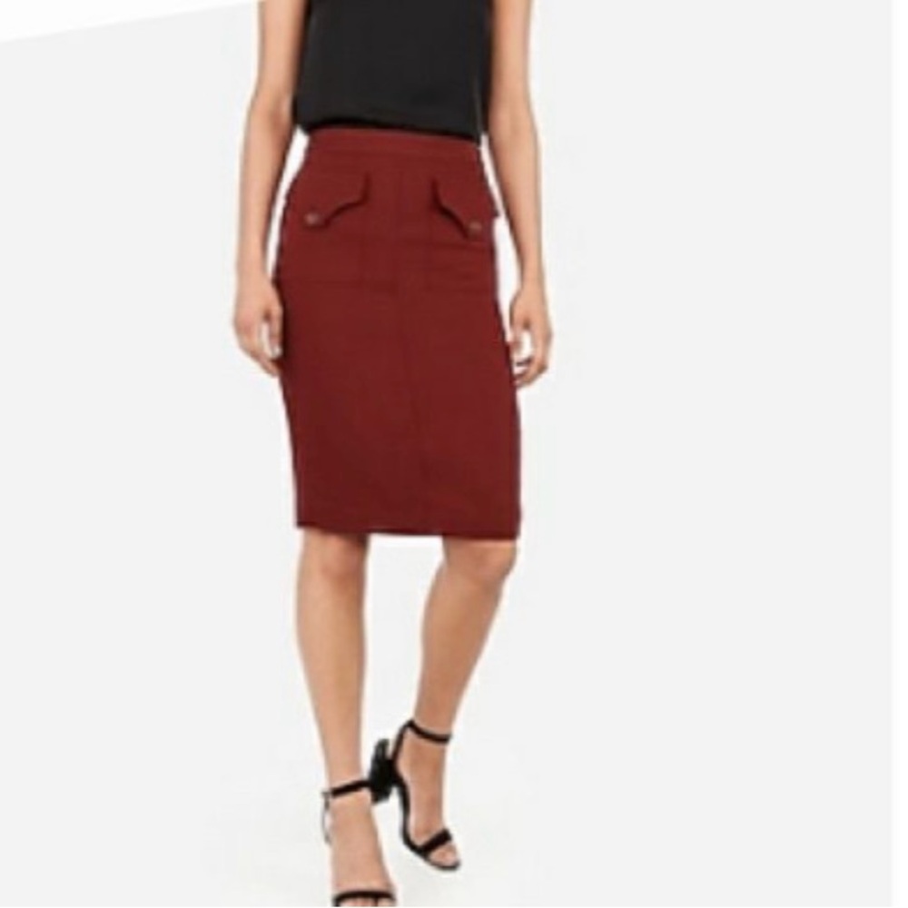 Express size 12 Brown Skirt